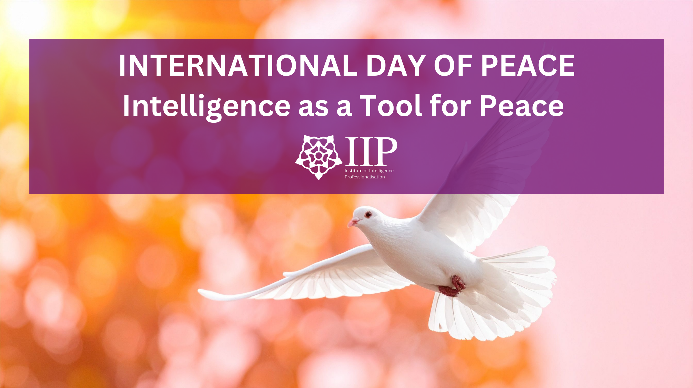 International Day of Peace: Intelligence as a Tool for Peace
